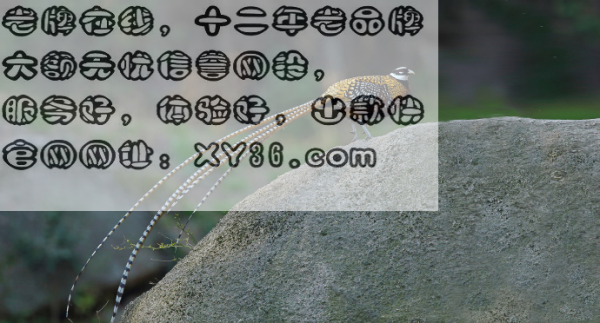 澳门四肖期期中特免费公开网站,具象化表达解说_JMS77.751网络版