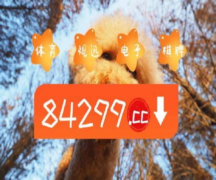 澳门天天开彩好正版挂牌,前沿解读与定义_RQV77.165高级版