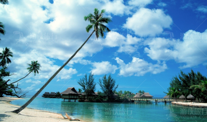 海南橡胶价格最新动态与心灵之旅，自然美景下的平和寻觅