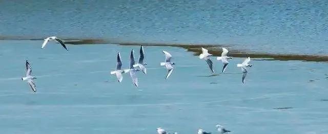 东方看大剧最新一期,自然美景探索之旅