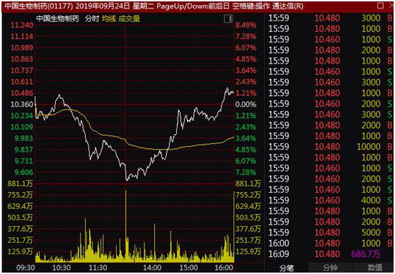 中国医药股票最新动态，与自然美景的邂逅之旅