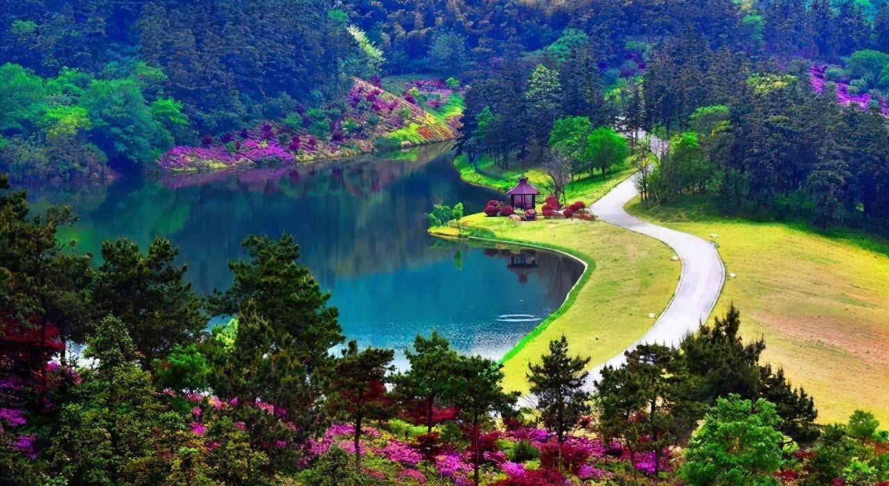 最新标准,轻松探索自然美景之旅