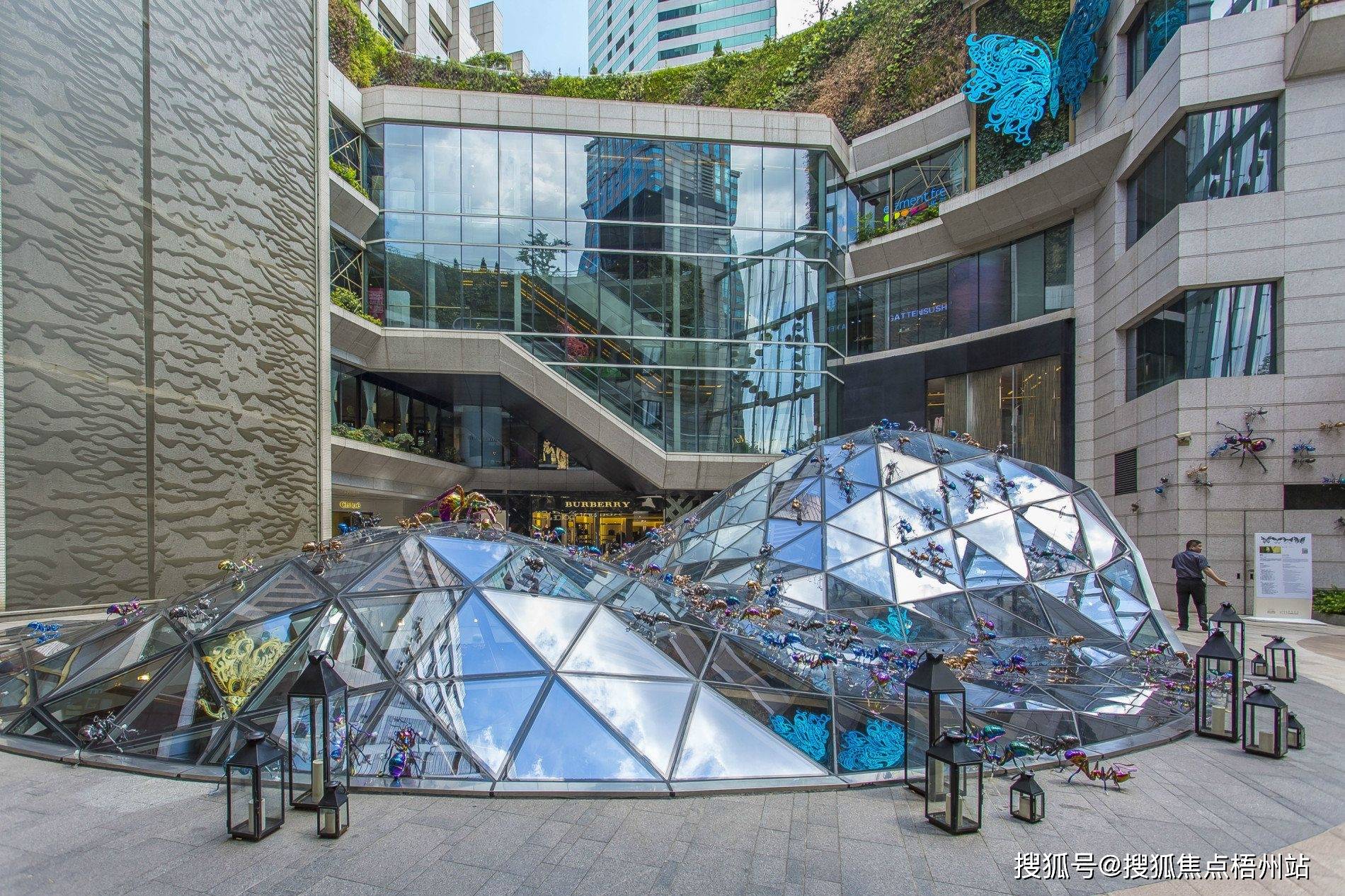 2024年新澳芳草地资料,快速实施解答研究_JUI55.136灵动版