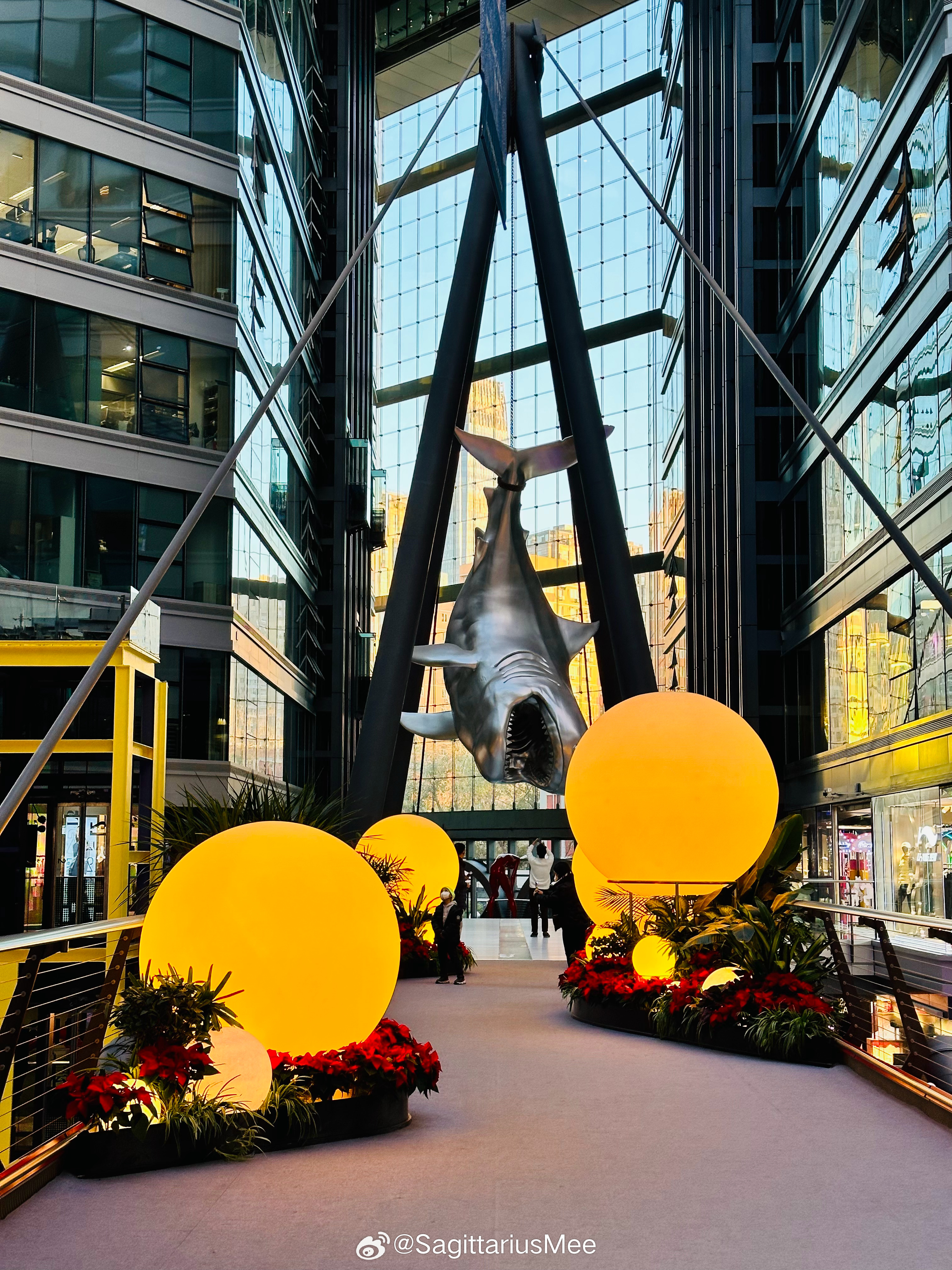 2024年新澳芳草地资料,快速实施解答研究_JUI55.136灵动版