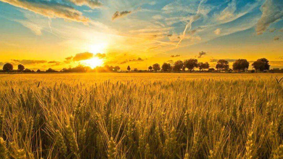 最新美股,自然美景的探索之旅