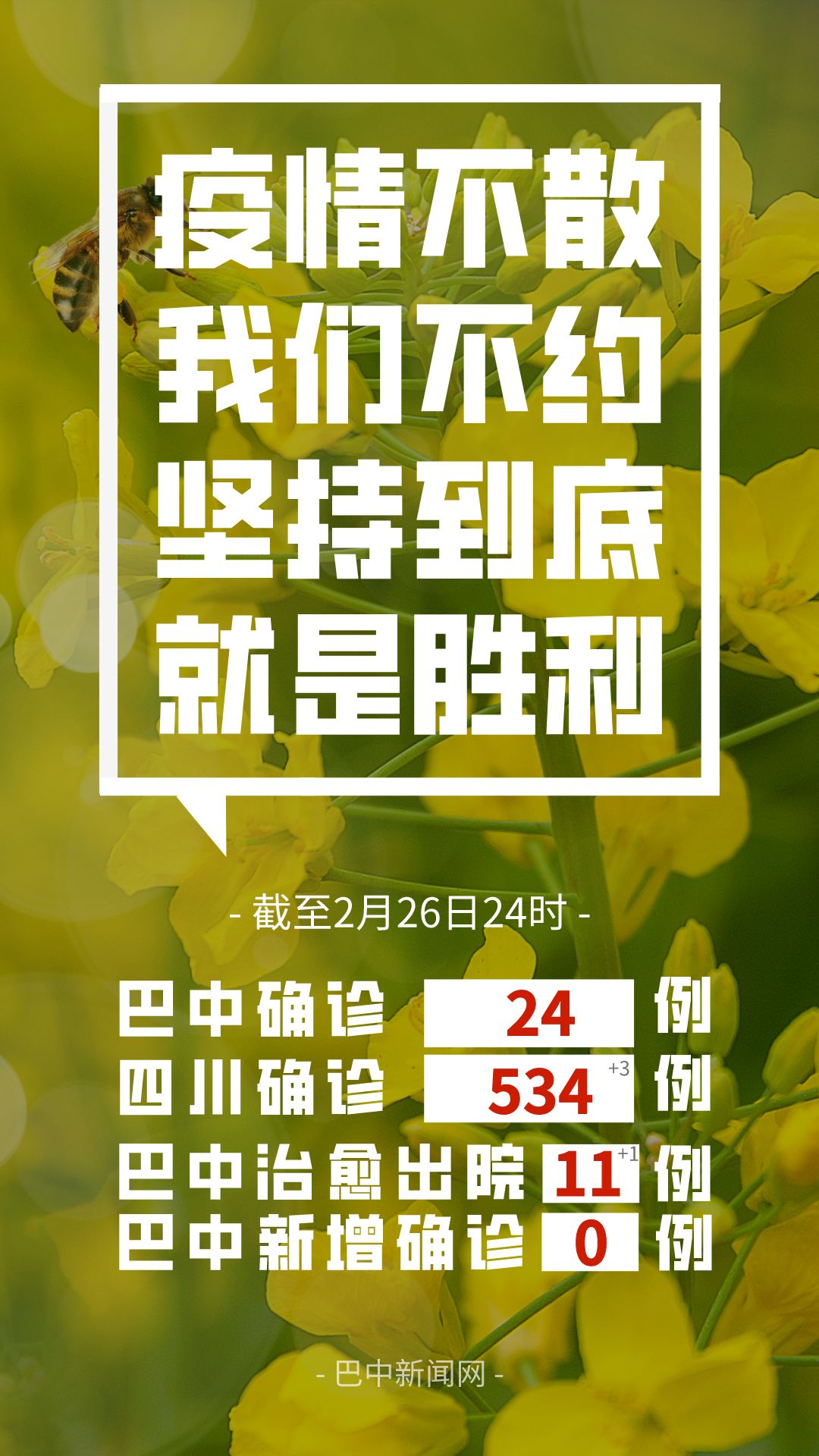 四川最新疫情观点阐述与分析报告