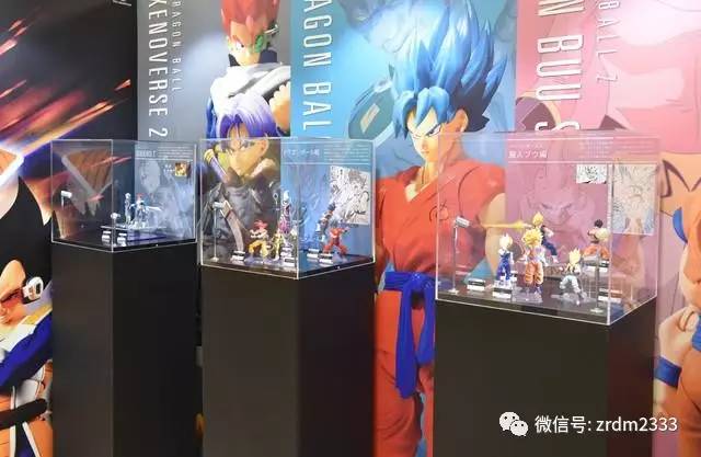 探索龙珠世界最新动态揭秘!