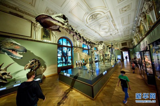 香港疫情最新动态与大自然的心灵之旅