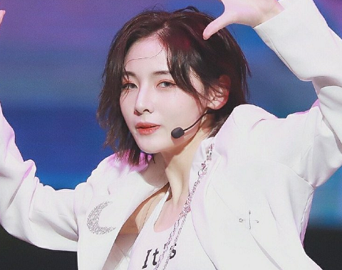 娱乐热潮中的璀璨新星，最新明星闪耀登场！