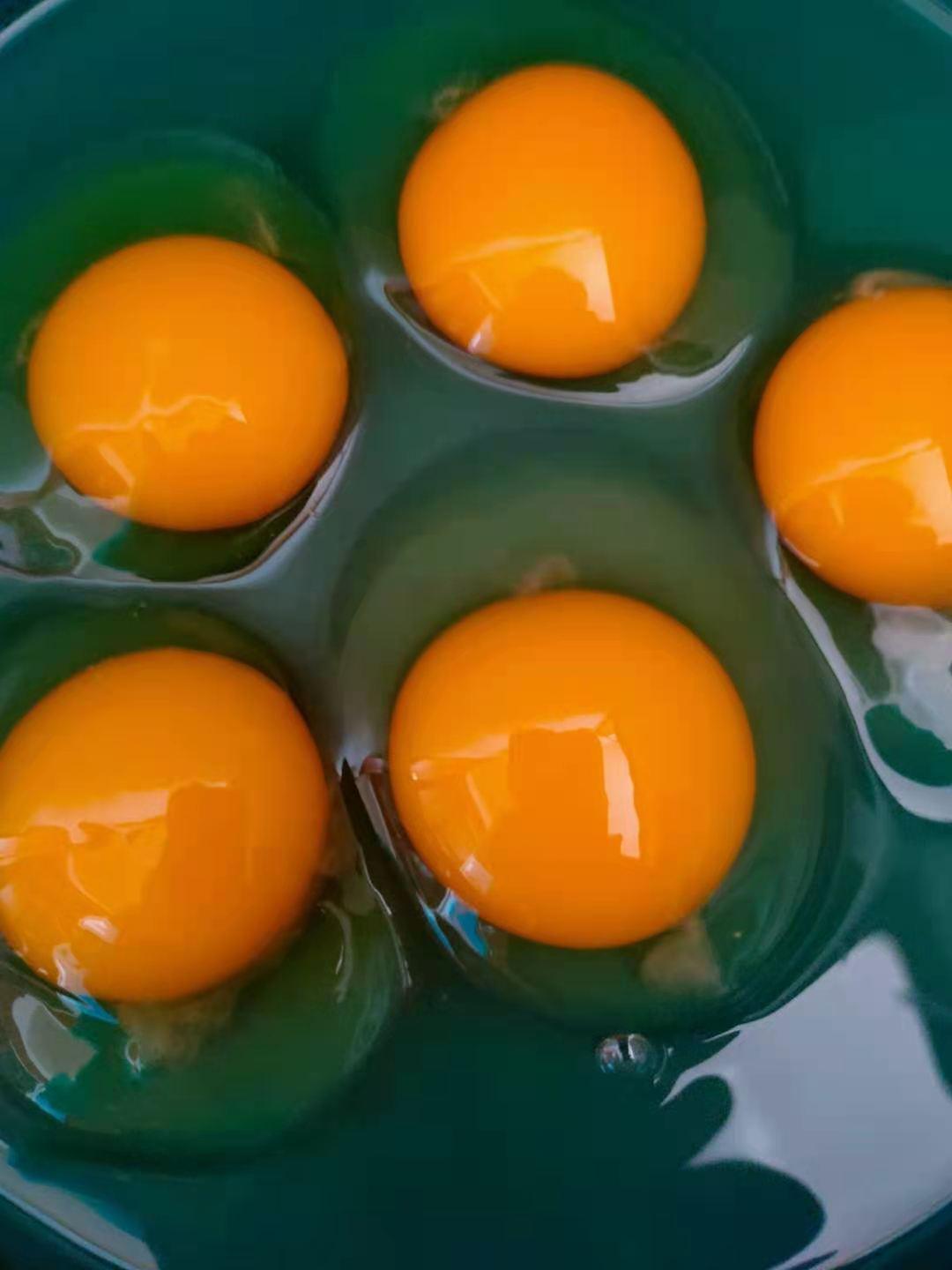 鸡蛋最新行情揭秘,价格背后的温情故事浮出水面