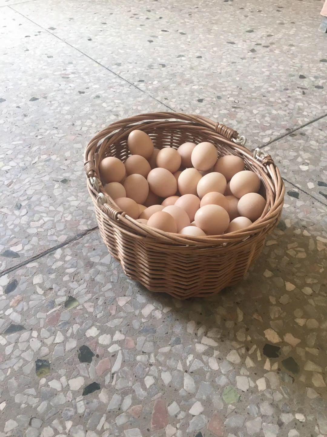 鸡蛋最新行情揭秘,价格背后的温情故事浮出水面