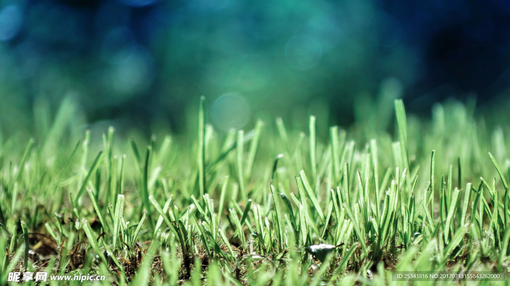 青草最新，科技新宠引领生活新纪元