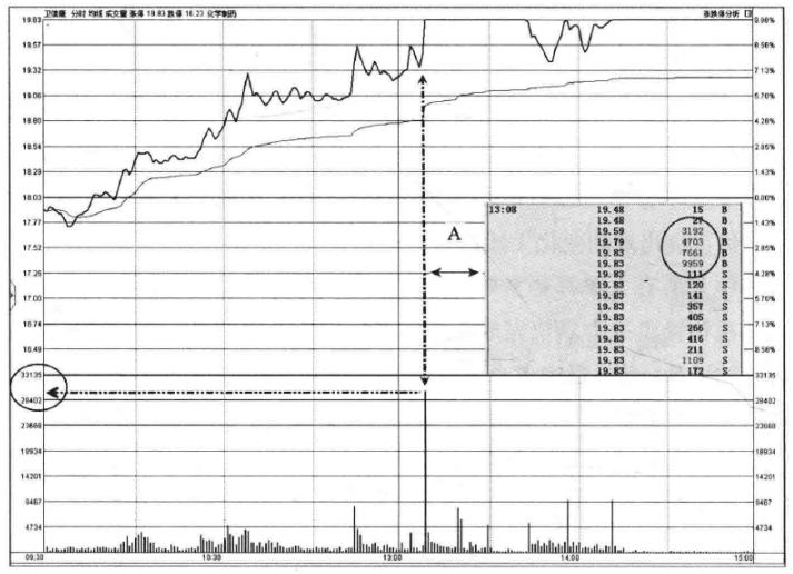 IPO最新动态揭秘,股市小探秘的日常故事与最新消息速递