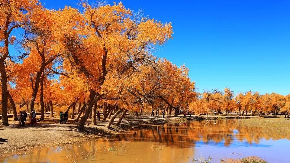 中国最新成就与自然美景的邂逅，重拾内心的宁静之旅