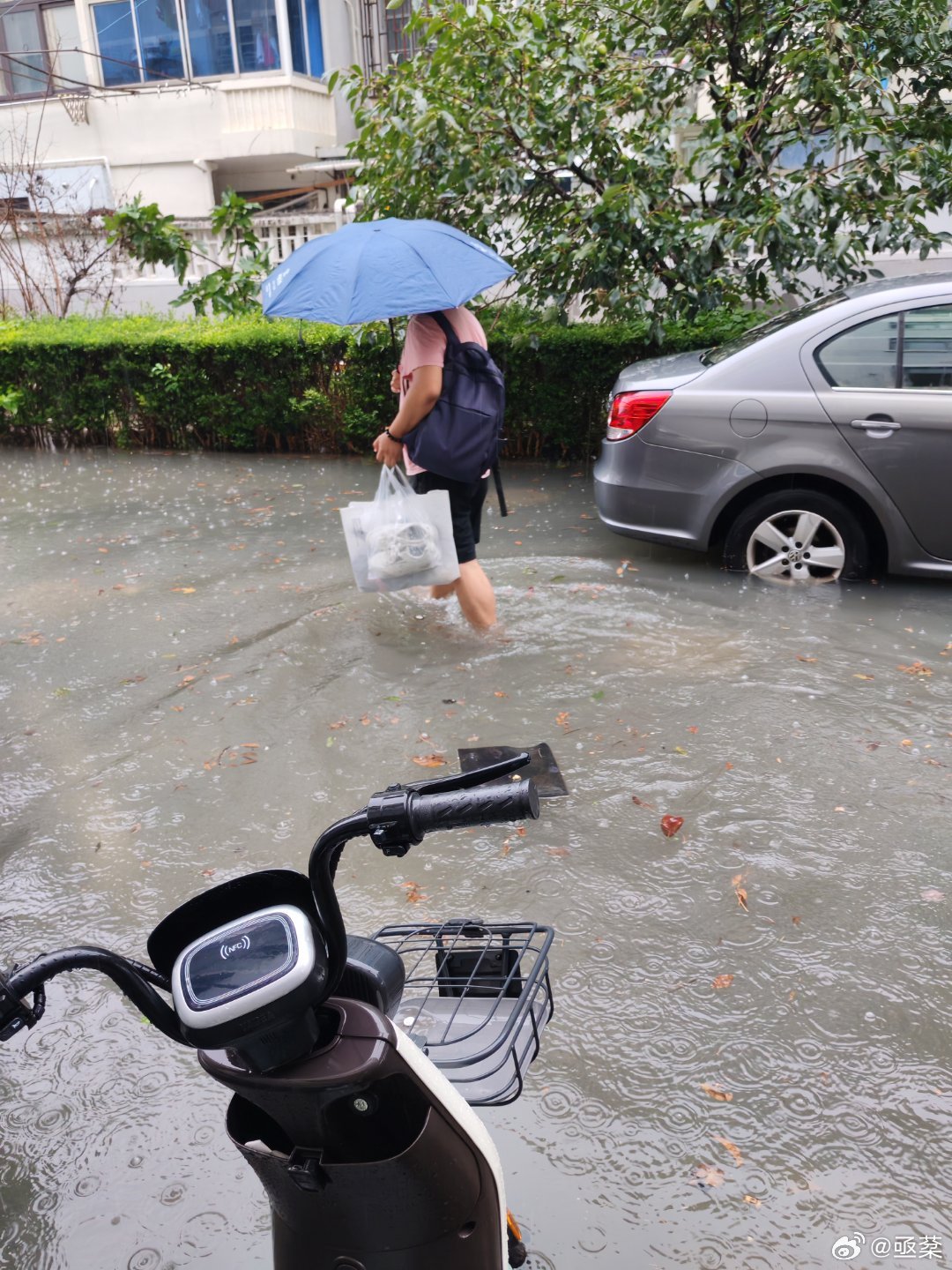 浙江最新台风中的日常生活与温情瞬间