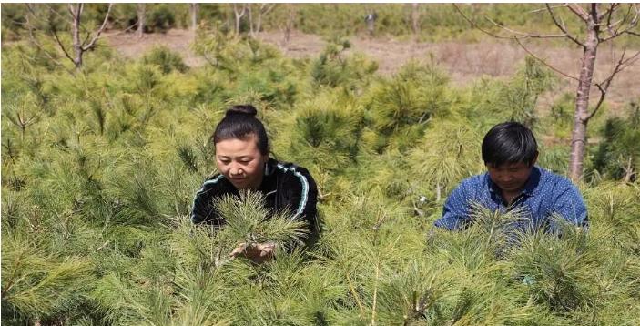 顺义最新招聘，开启自信与成就之旅，励志人生从这里启程