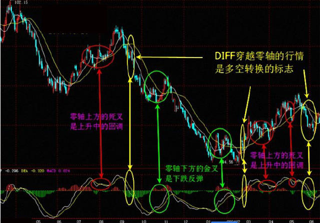 揭秘提升2024一码一肖,100%精准,稳健设计策略_XBB27.873体验版