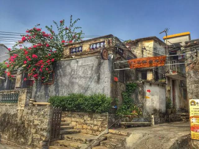 横琴小巷深处的独特风味揭秘,隐藏版特色小店大探秘!