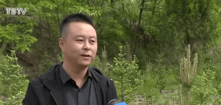 澳门今晚上必开一肖,新技术推动方略_BPJ27.868方案版