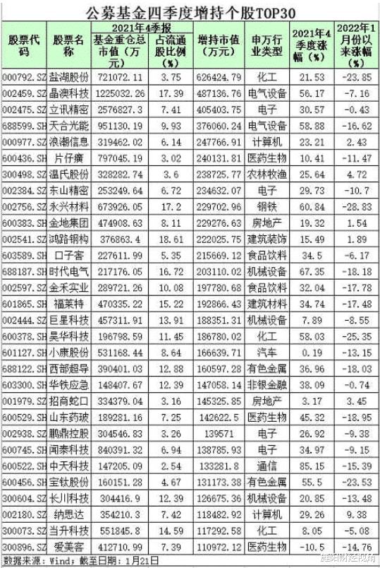 最新工资表，见证时代进步与变革的力量