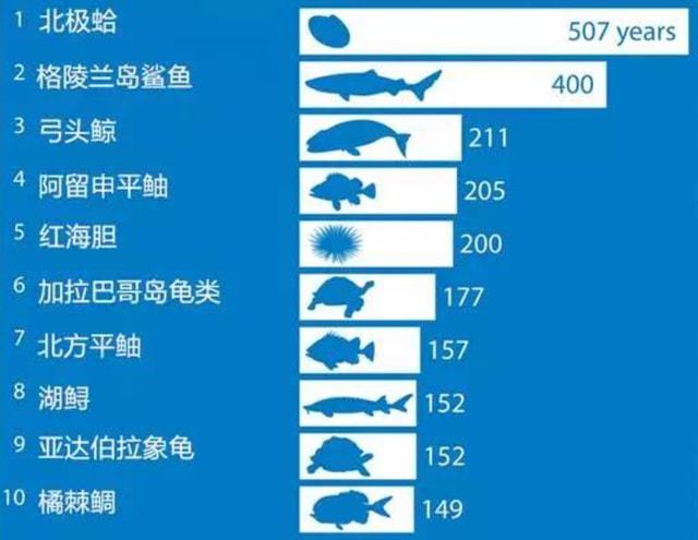 2024新版跑狗图库大全,科学解说指法律_JXX27.494实用版