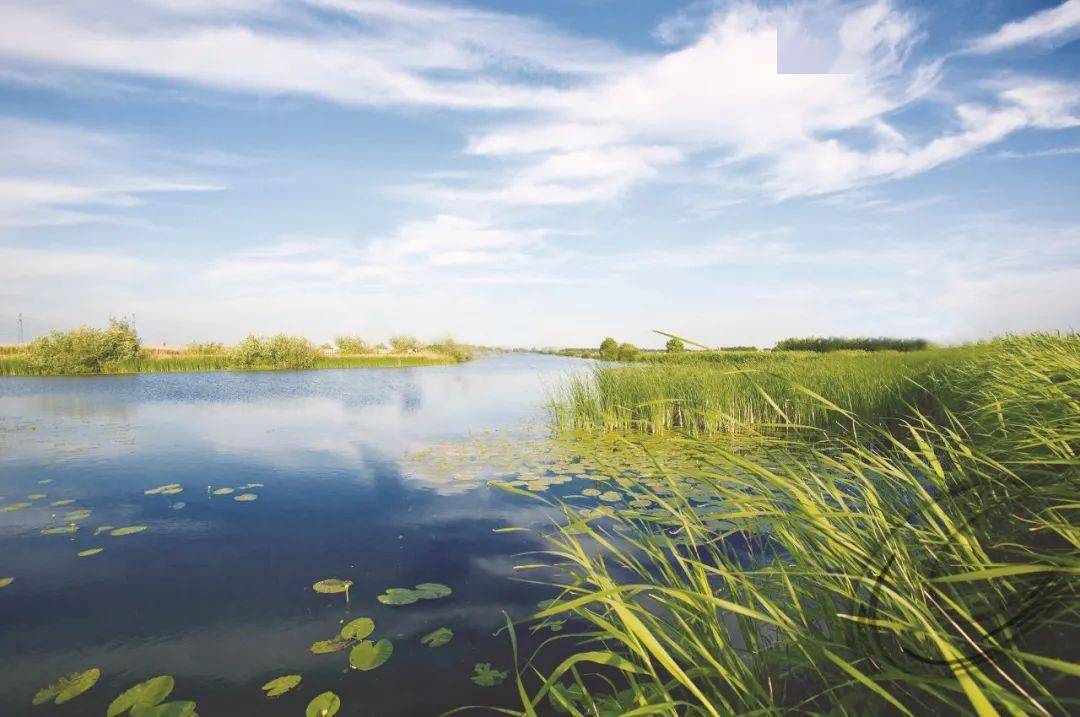 最新iTunes版本,探寻自然美景之旅,寻找内心的宁静与平和