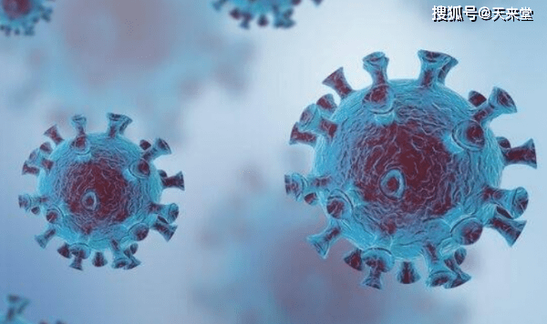 最新iTunes版本,探寻自然美景之旅,寻找内心的宁静与平和