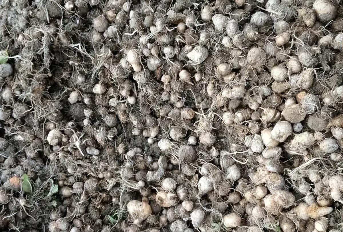 公众号微商城 第618页