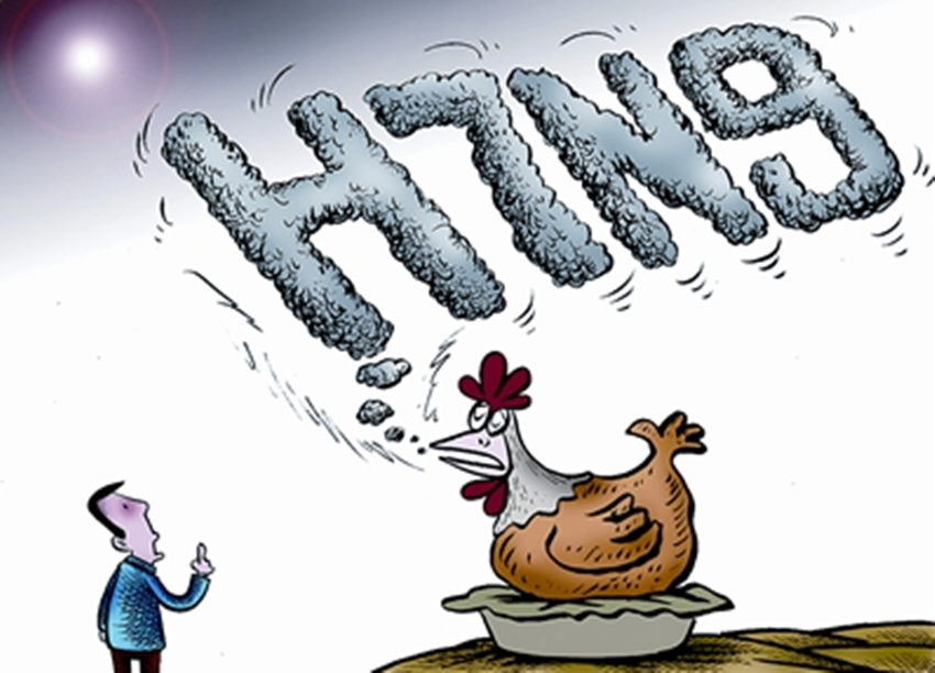 626969澳门资料大全2022年最新版亮点,专家意见法案_DTL27.603时尚版