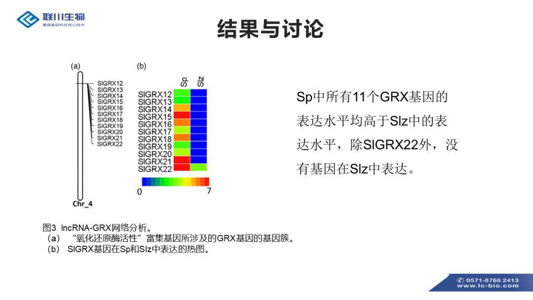 澳彩精准资料免费长期公开,标准执行具体评价_NUR27.927交互版
