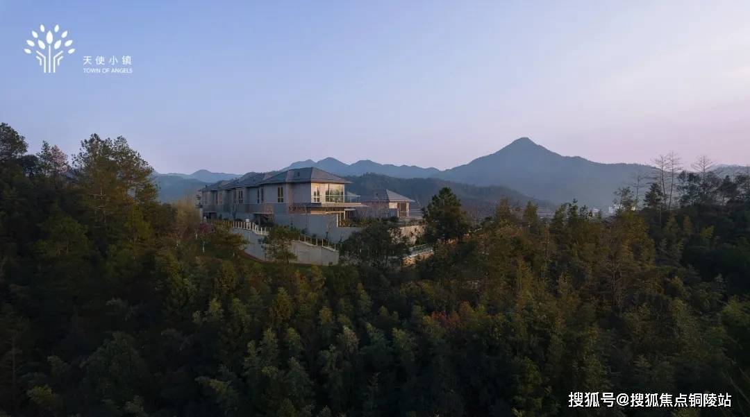 合山最新动态更新