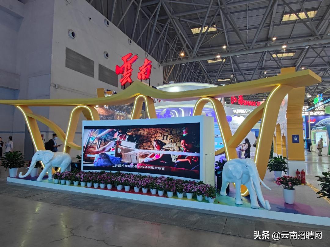 央企招聘网最新招聘动态及其分析