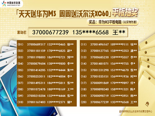 2024天天彩资料大全免费,全面设计实施_HPU81.217光辉版