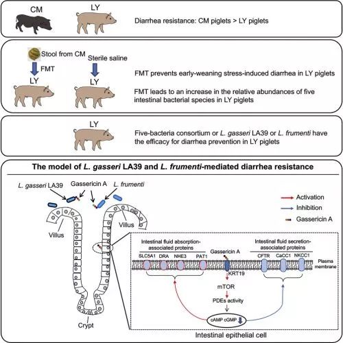 新奥门精准资料提拱,执行机制评估_OBV81.171移动版