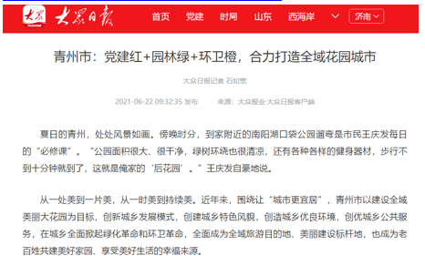 澳门正版精准免费大全大众网,平衡执行计划实施_SNI81.838月光版