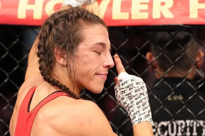 UFC最新动态与探索自然之旅,追寻内心的平和与宁静