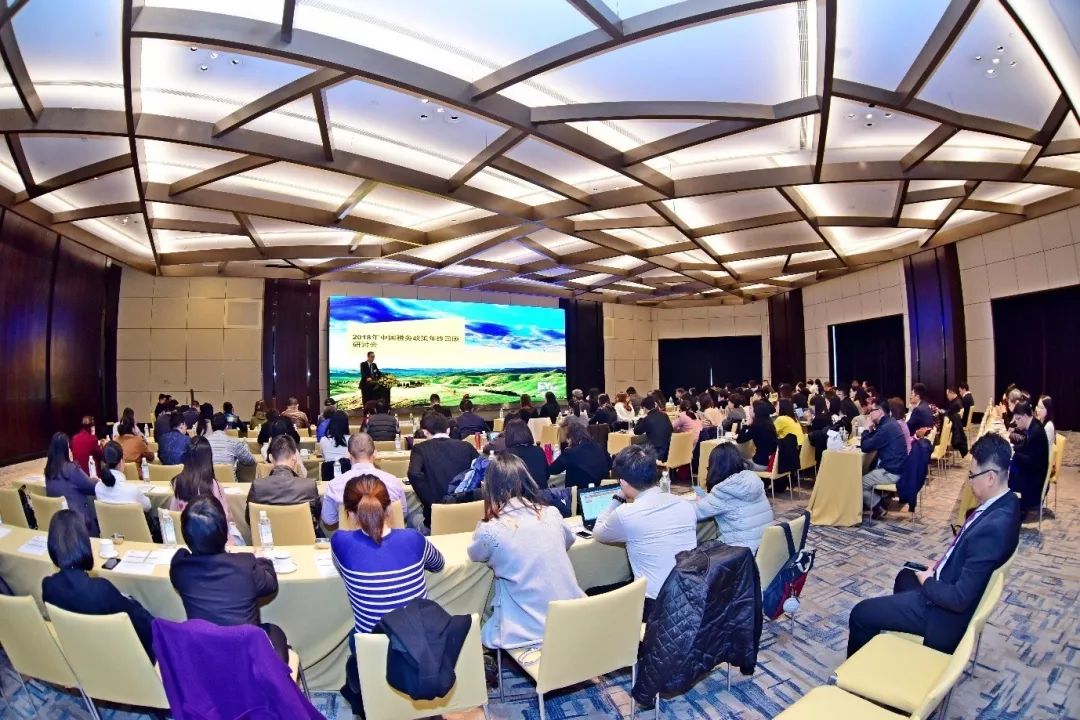 全球政治格局新动态,中国发展策略与最新政治新闻解读