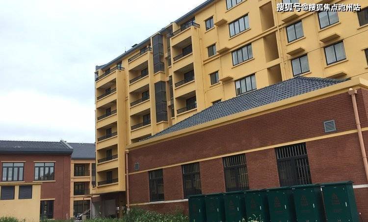 2024新奥正版资料四不像,全面信息解释定义_YRJ81.716复古版