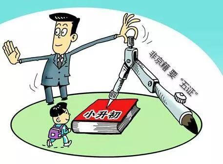 幼升新篇章,最新政策下的温馨入学故事启程