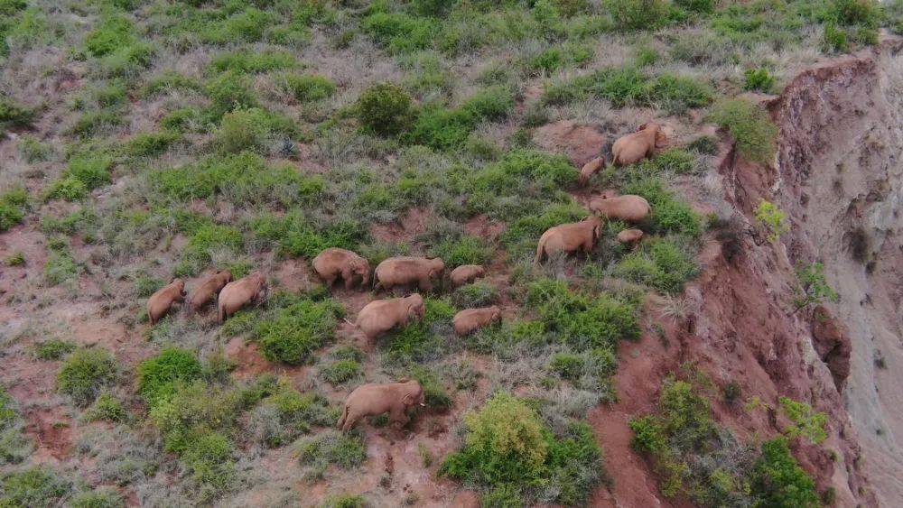 2024澳门六今晚开奖结果出来新,专家权威解答_FKC81.174透明版