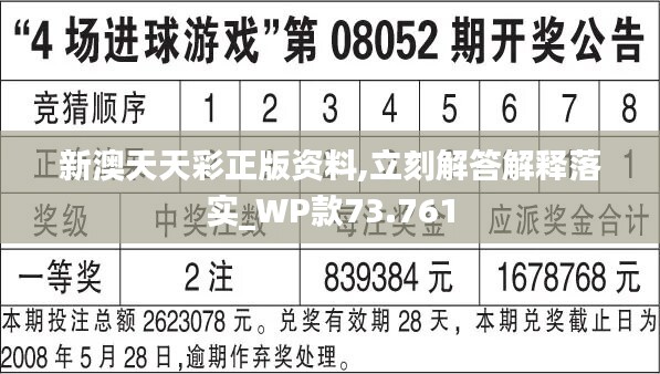 2024正版免费天天开彩迅捷解答,执行机制评估_VMP81.620先锋实践版