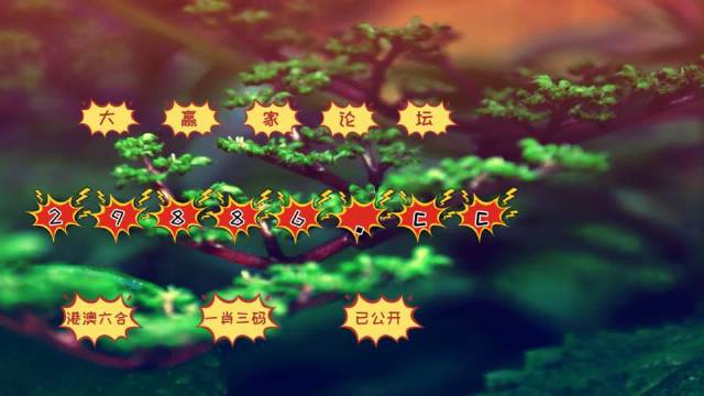 2024新澳门跑狗图今晚管家婆,精细评估方案_BLF81.796Allergo版(意为轻快)