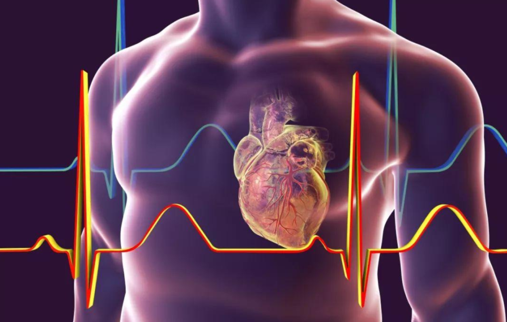 澳门跑狗,科学分析解释说明_JOR81.296车载版