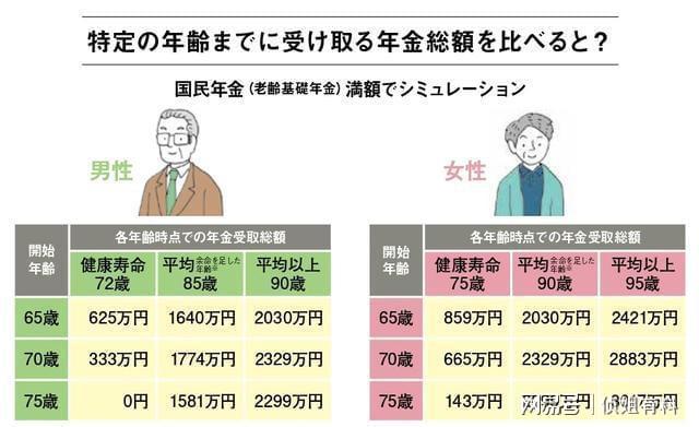 退休金最新政策详解,初学者与进阶用户的步骤指南