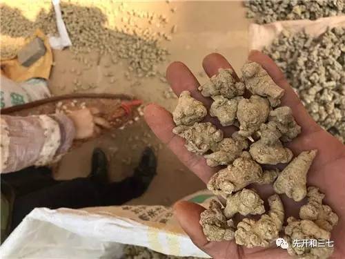 S2B2X电商体系 第583页