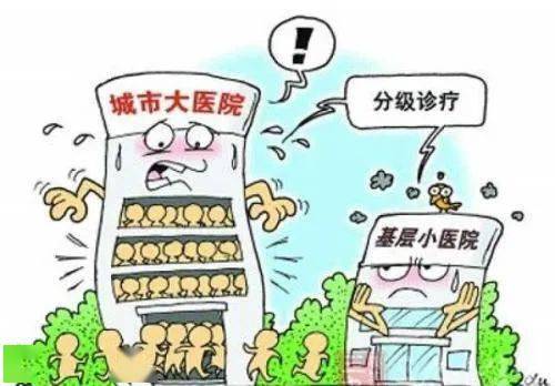 跑狗图993994www跑狗,执行机制评估_HUZ81.470多维版