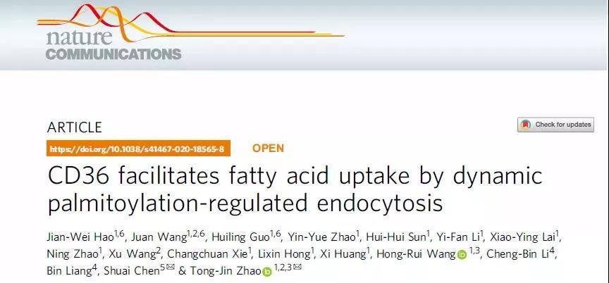 0149443查询,澳彩资料,具象化表达解说_BYH81.383程序版