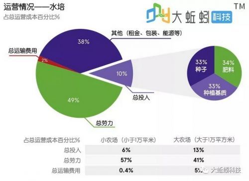 新澳门天天新资料,实际调研解析_CAN81.426艺术版