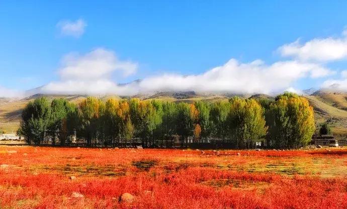 最新虐心小说,探寻自然美景,寻找内心平静的旅行意义