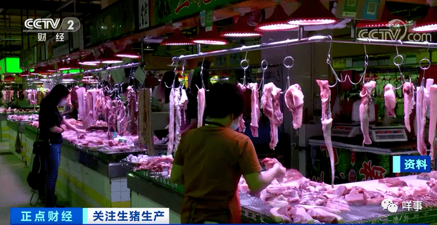 最新麻鸡价格,时代变迁与市场的波动影响